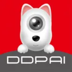 www.ddpai.com