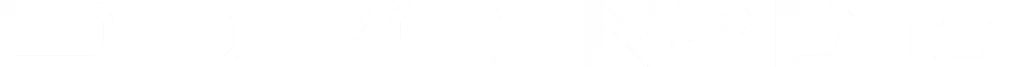 n2 logo