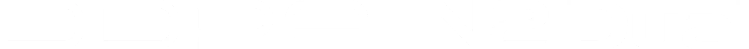 n2 logo